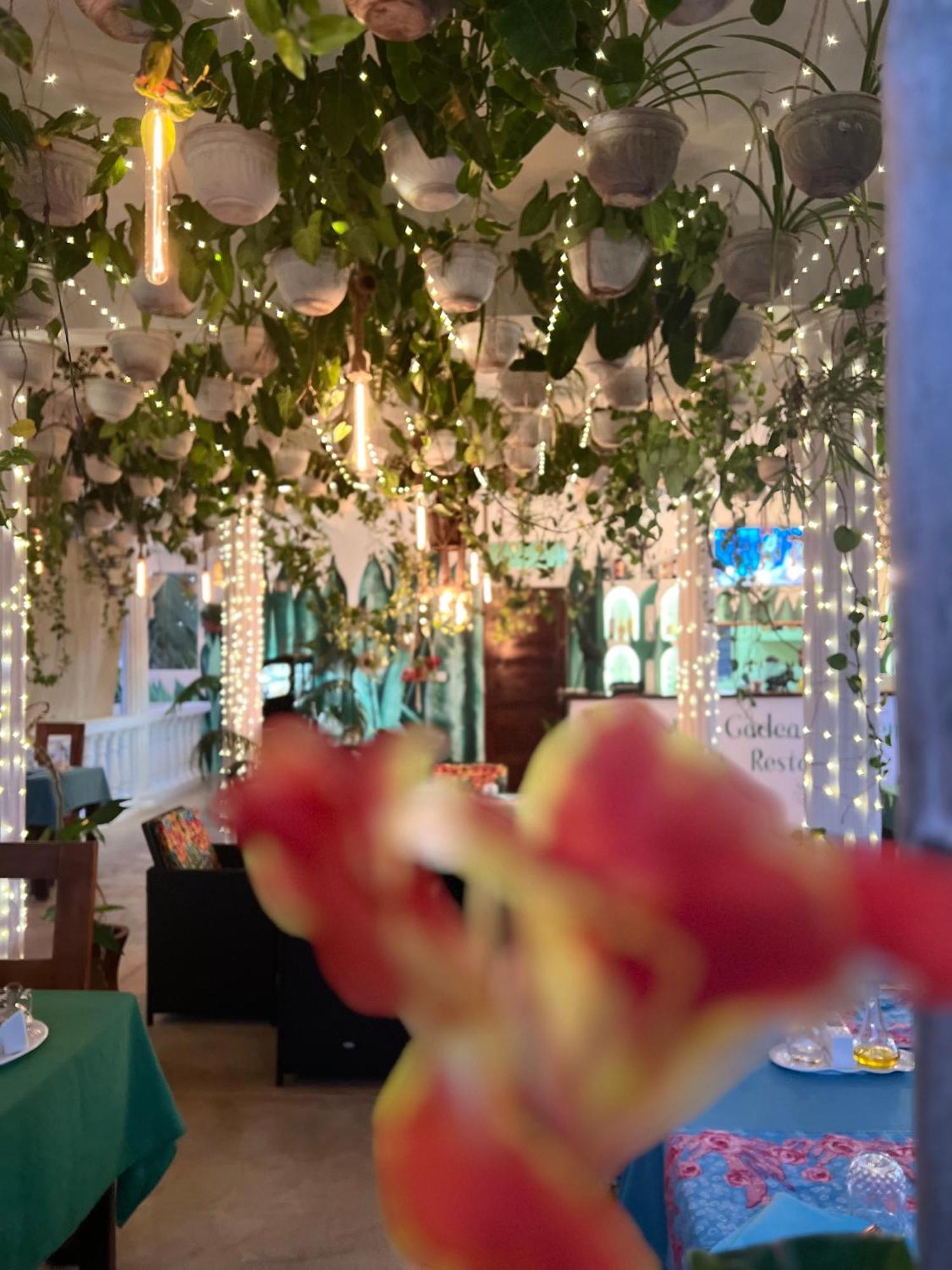 Gadea Boutique Hotel& Gadea Garden Italian Restaurant (Adults Only) จัมเบียนี ภายนอก รูปภาพ