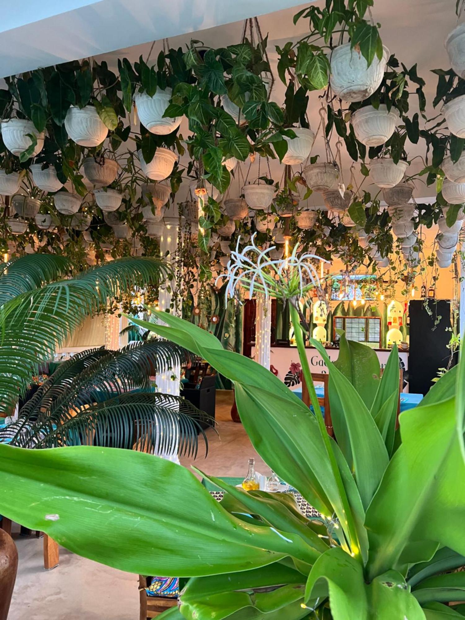Gadea Boutique Hotel& Gadea Garden Italian Restaurant (Adults Only) จัมเบียนี ภายนอก รูปภาพ